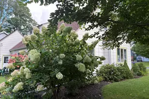 433 S Cass St, Berrien Springs, MI 49103 - Photo 27