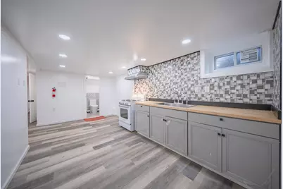 4445 Packard Street, Ann Arbor, MI 48108 - Photo 21
