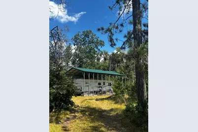 668 W Pine Brush, Irons, MI 49644 - Photo 13