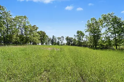 0 V/L E Charles Road #Parcel A, Ionia, MI 48846 - Photo 5