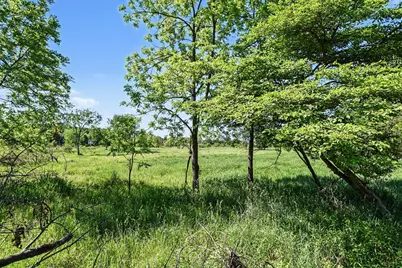 0 V/L E Charles Road #Parcel B, Ionia, MI 48846 - Photo 7