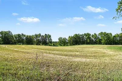 0 V/L E Charles Road #Parcel B, Ionia, MI 48846 - Photo 9