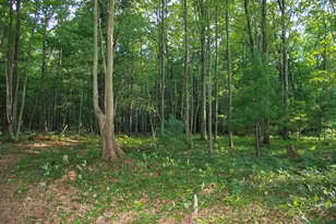 3429 W Giles Rd, Muskegon, MI 49445 - Photo 57