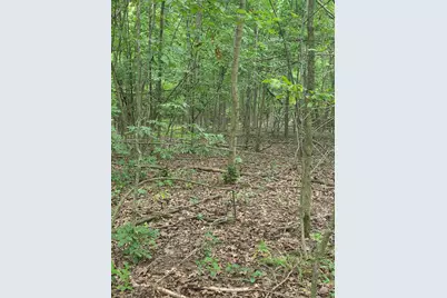 Crystal Road, Hubbardston, MI 48845 - Photo 15