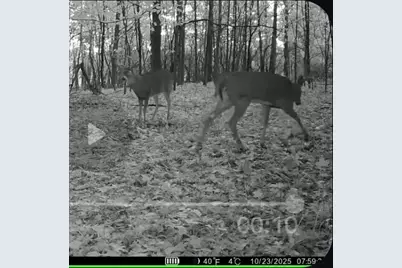 Crystal Road, Hubbardston, MI 48845 - Photo 11