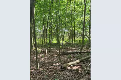 Crystal Road, Hubbardston, MI 48845 - Photo 17
