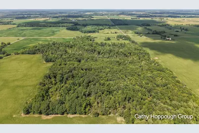 Crystal Road, Hubbardston, MI 48845 - Photo 1