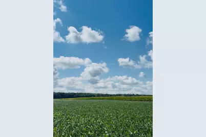 0 Ditch Road, Chesaning, MI 48616 - Photo 1