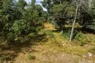 3429 S Merrillville Rd, Baldwin, MI 49304 - Photo 29