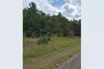 Adamson Lake Road, Kaleva, MI 49645 - Photo 1