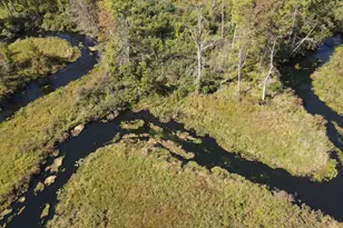 52524 Johnson Rd, Three Rivers, MI 49093 - Photo 3