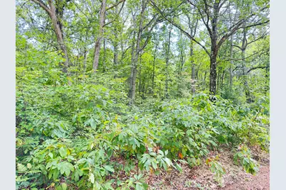8th Avenue, Bitely, MI 49309 - Photo 3