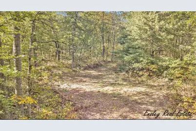 10138 Woodland Lane, Newaygo, MI 49337 - Photo 1
