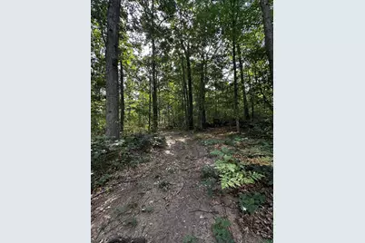 4971 W 11 1/2 Mile Road, Irons, MI 49644 - Photo 11
