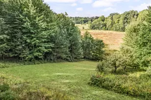 9957 150th Ave, Reed City, MI 49677 - Photo 21