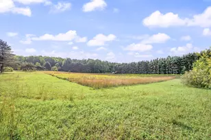 9957 150th Ave, Reed City, MI 49677 - Photo 25