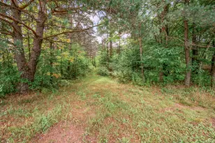 9957 150th Ave, Reed City, MI 49677 - Photo 29
