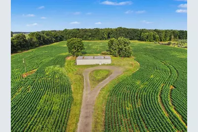 11581 Mulliken Road, Mulliken, MI 48861 - Photo 13