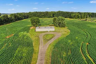 11581 Mulliken Rd, Mulliken, MI 48861 - Photo 13