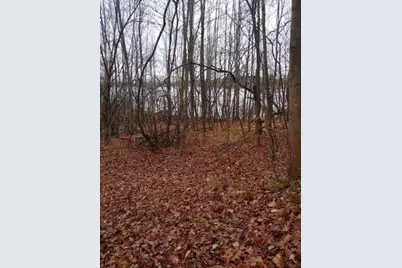 23045 Miramichi Drive, Evart, MI 49631 - Photo 1