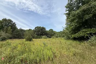 V/L Sawyer Rd, Sawyer, MI 49125 - Photo 1