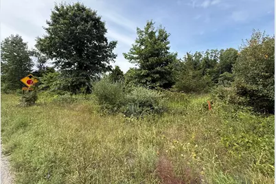 V/L Sawyer Road, Sawyer, MI 49125 - Photo 3