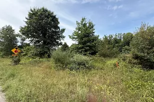 V/L Sawyer Rd, Sawyer, MI 49125 - Photo 3