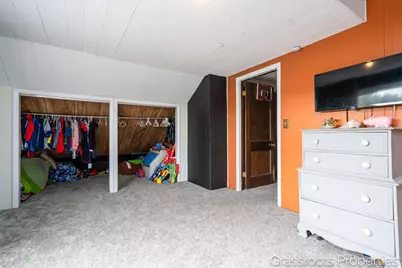 6196 W Sidney Road, Sidney, MI 48885 - Photo 19