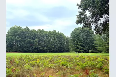 7404 Regency Lane #LOT 183, Stanwood, MI 49346 - Photo 5