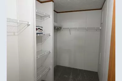 2930 Birch Landing E Drive, Lakeview, MI 48850 - Photo 19