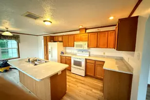 2930 Birch Landing E Dr, Lakeview, MI 48850 - Photo 9