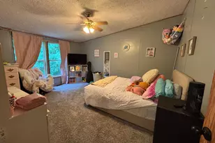 2905 E Jackson Rd, Walkerville, MI 49459 - Photo 35