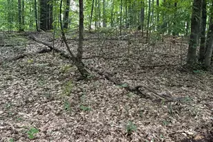 2905 E Jackson Rd, Walkerville, MI 49459 - Photo 61