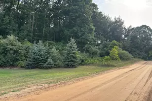2905 E Jackson Rd, Walkerville, MI 49459 - Photo 59