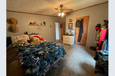 2905 E Jackson Road, Walkerville, MI 49459 - Photo 33