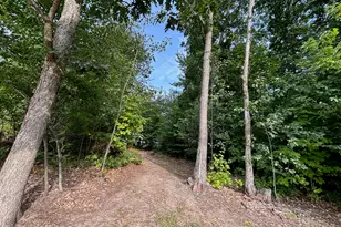2905 E Jackson Rd, Walkerville, MI 49459 - Photo 57