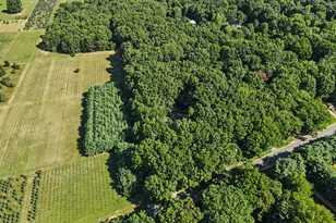 23408 Co Rd 375, Mattawan, MI 49071 - Photo 29
