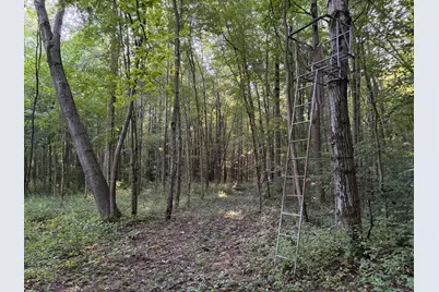 42nd Ave Avenue, Lawrence, MI 49064 - Photo 23