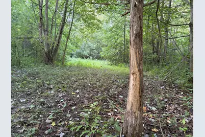 42nd Ave Avenue, Lawrence, MI 49064 - Photo 11