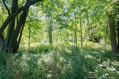 13433 Bingham Street, Holland, MI 49424 - Photo 13