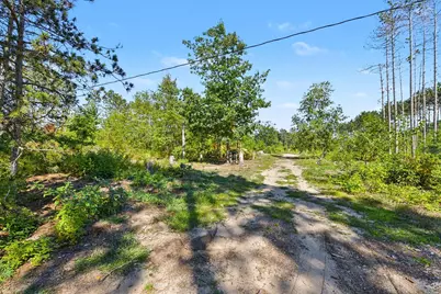 17711 Lindy Road, Thompsonville, MI 49683 - Photo 5