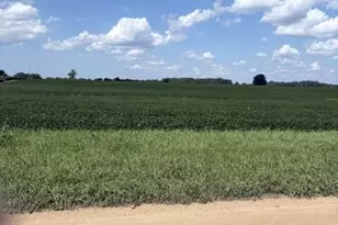 Maple Grove Rd, Berrien Center, MI 49102 - Photo 1