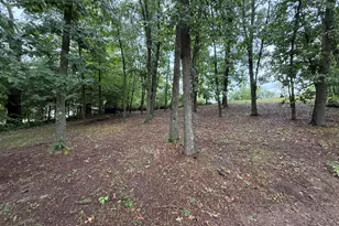 22104 W Kendaville Rd, Pierson, MI 49339 - Photo 37