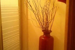 7107 La Paloma Ln, Ypsilanti, MI 48197 - Photo 37