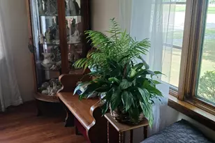 419 N Washington Ave, Ludington, MI 49431 - Photo 25