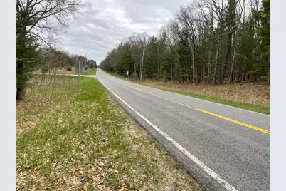 V/L Coates Highway, Brethren, MI 49619 - Photo 3