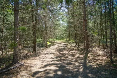 Parcel 1 Makinen Road, Kaleva, MI 49645 - Photo 27