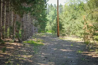 Parcel 1 Makinen Road, Kaleva, MI 49645 - Photo 21