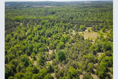 Parcel 1 Makinen Road, Kaleva, MI 49645 - Photo 5