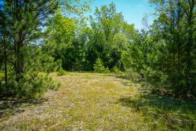 Parcel 1 Makinen Road, Kaleva, MI 49645 - Photo 29
